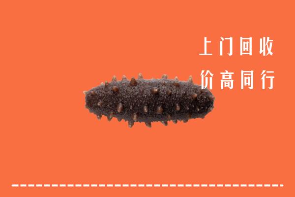 高价求购：日照回收海参