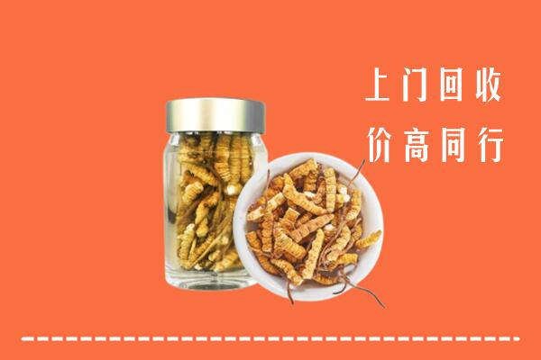 日照回收冬虫夏草